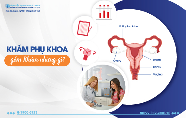 Khám phụ khoa cần khám những gì ? Lưu ý khi khám phụ khoa