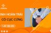 Tinh hoàn trái nổi cục sờ nắn thấy cứng là bệnh gì?